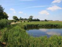 Nieuwsbrief 15 - zomer 2021 is uit!