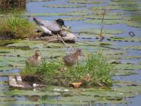 Nieuwsbrief 16 is uit!